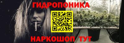 ПСИЛОЦИБИНОВЫЕ ГРИБЫ Бердск
