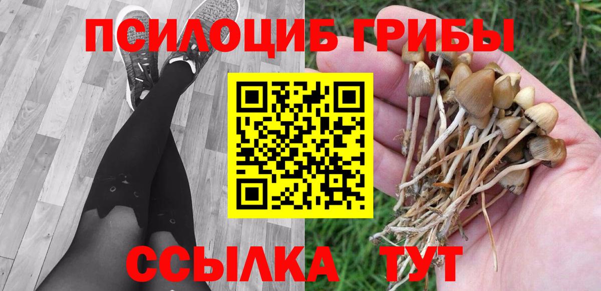 Псилоцибиновые грибы ЛСД Янаул