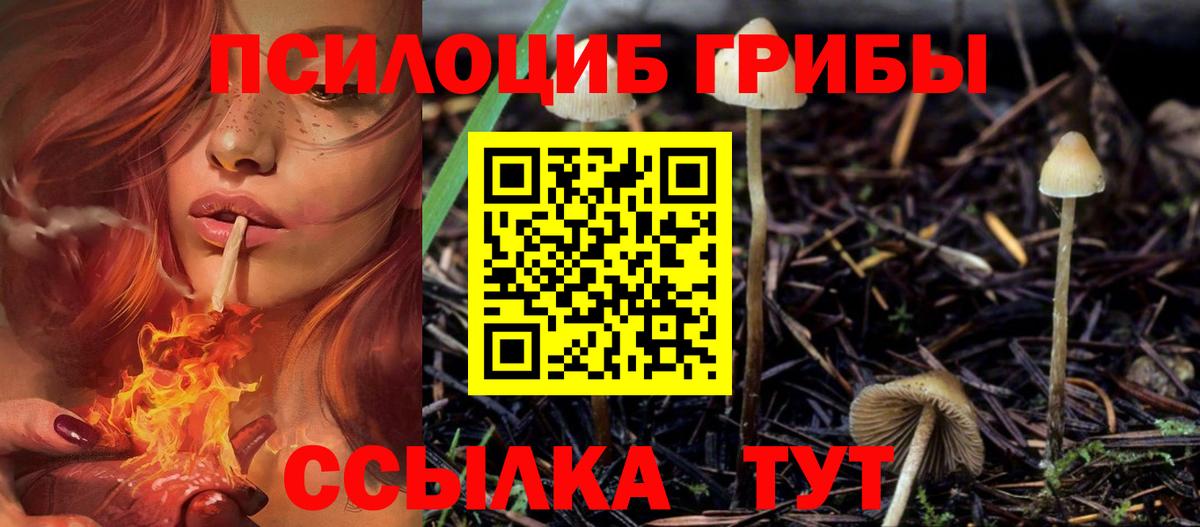 Янаул  Галлюциногенные грибы Psilocybine cubensis  Вход с VPN 